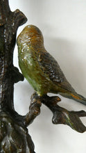 Load image into Gallery viewer, 1920s AUSTRIAN Bronze Table Lamp in the Form of a Tree with Cold Painted Budgerigars. Nice Green Onyx Base
