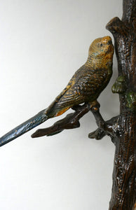 1920s AUSTRIAN Bronze Table Lamp in the Form of a Tree with Cold Painted Budgerigars. Nice Green Onyx Base