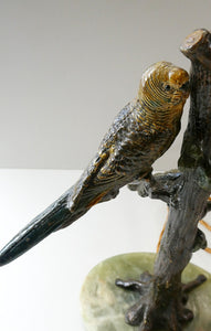 1920s AUSTRIAN Bronze Table Lamp in the Form of a Tree with Cold Painted Budgerigars. Nice Green Onyx Base