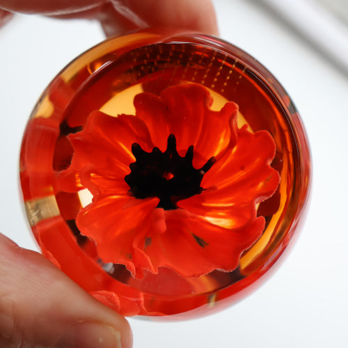 CAITHNESS GLASS. Vintage 1999 Paperweight. RED POPPY by Helen MacDonald