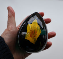 Load image into Gallery viewer, SCOTTISH Caithness Glass Egg Shape Paperweight: DAFFODIL by Colin Terris; 1999
