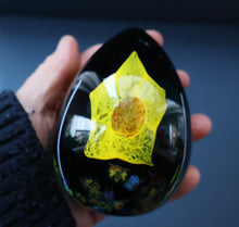 Load image into Gallery viewer, SCOTTISH Caithness Glass Egg Shape Paperweight: DAFFODIL by Colin Terris; 1999
