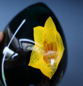 SCOTTISH Caithness Glass Egg Shape Paperweight: DAFFODIL by Colin Terris; 1999