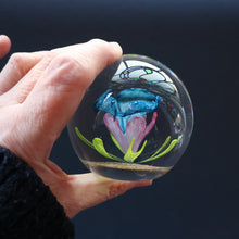 Load image into Gallery viewer, Scottish Caithness Glass Paperweight: CAPRICE by Colin Terris 1983 LIMITED EDITION
