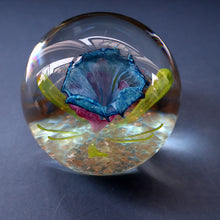 Load image into Gallery viewer, Scottish Caithness Glass Paperweight: CAPRICE by Colin Terris 1983 LIMITED EDITION
