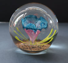 Load image into Gallery viewer, Scottish Caithness Glass Paperweight: CAPRICE by Colin Terris 1983 LIMITED EDITION
