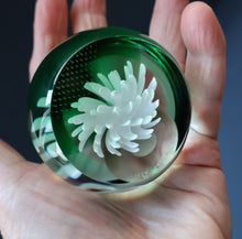 Load image into Gallery viewer, SCOTTISH PAPERWEIGHT: Vintage 1990s Caithness Paperweight: WHITE ASTER (B)
