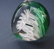 Load image into Gallery viewer, SCOTTISH PAPERWEIGHT: Vintage 1990s Caithness Paperweight: WHITE ASTER (B)
