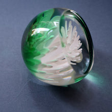 Load image into Gallery viewer, SCOTTISH PAPERWEIGHT: Vintage 1990s Caithness Paperweight: WHITE ASTER (B)
