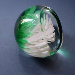 SCOTTISH PAPERWEIGHT: Vintage 1990s Caithness Paperweight: WHITE ASTER (B)