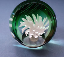 Load image into Gallery viewer, SCOTTISH PAPERWEIGHT: Vintage 1990s Caithness Paperweight: WHITE ASTER (B)
