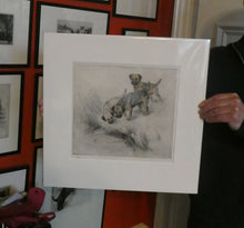 Load image into Gallery viewer, ORIGINAL Coloured Etching of Border Terriers by George Vernon Stokes (1874 - 1954). Pencil SIGNED
