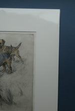 Load image into Gallery viewer, ORIGINAL Coloured Etching of Border Terriers by George Vernon Stokes (1874 - 1954). Pencil SIGNED
