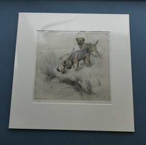 ORIGINAL Coloured Etching of Border Terriers by George Vernon Stokes (1874 - 1954). Pencil SIGNED