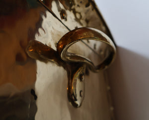 Fabulous Large Brass ART NOUVEAU Lidded Coal or Log Bucket with Whiplash Repousee Decoration; c 1910s