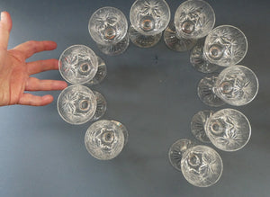 EDINBURGH CRYSTAL. Set of TEN Matching STAR OF EDINBURGH Sherry Glasses 4 1/2 inches in height