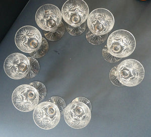 EDINBURGH CRYSTAL. Set of TEN Matching STAR OF EDINBURGH Sherry Glasses 4 1/2 inches in height