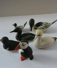 Load image into Gallery viewer, Alasdair Dunn Arran Job Lot Porcelain Seabirds
