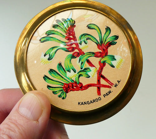 MASCOT Brand. Vintage 1950s POWDER COMPACT with Kangaroo Paw Flower (Australia