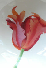 Load image into Gallery viewer, RARE Emma Bridgewater Pair of Footed Bowls with Lettering SUMMERTIME TULIPS
