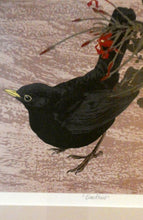 Load image into Gallery viewer, 1980s Woodcut by James Williamson Bell (1938 - 2010), &quot;BLACKBIRD&quot;. Signed in Pencil
