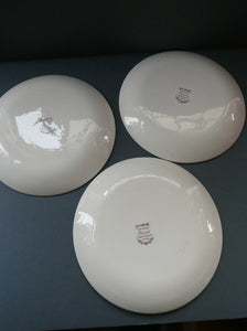 Vintage 1960s Figgjo Flint: Turi Design / Barcarole Pattern THREE DESSERT PLATES