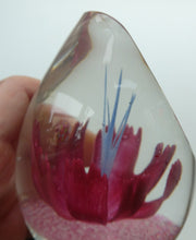 Load image into Gallery viewer, SCOTTISH Caithness Glass Paperweight: FANTASY ORCHID by Alastair MacIntosh; 1993
