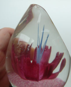 SCOTTISH Caithness Glass Paperweight: FANTASY ORCHID by Alastair MacIntosh; 1993