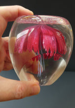 Load image into Gallery viewer, SCOTTISH Caithness Glass Paperweight: FANTASY ORCHID by Alastair MacIntosh; 1993
