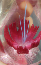 Load image into Gallery viewer, SCOTTISH Caithness Glass Paperweight: FANTASY ORCHID by Alastair MacIntosh; 1993
