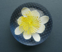 Load image into Gallery viewer, CAITHNESS GLASS. Vintage 2002 Paperweight. PURITY OF HEART by Helen MacDonald
