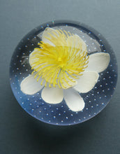 Load image into Gallery viewer, CAITHNESS GLASS. Vintage 2002 Paperweight. PURITY OF HEART by Helen MacDonald
