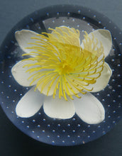 Load image into Gallery viewer, CAITHNESS GLASS. Vintage 2002 Paperweight. PURITY OF HEART by Helen MacDonald
