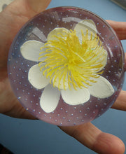 Load image into Gallery viewer, CAITHNESS GLASS. Vintage 2002 Paperweight. PURITY OF HEART by Helen MacDonald
