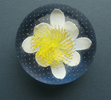 Load image into Gallery viewer, CAITHNESS GLASS. Vintage 2002 Paperweight. PURITY OF HEART by Helen MacDonald
