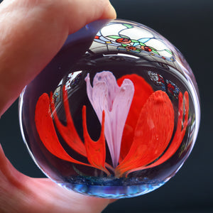 Scottish Caithness Glass Paperweight: SOLITAIRE by Colin Terris 1984