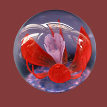 Load image into Gallery viewer, Scottish Caithness Glass Paperweight: SOLITAIRE by Colin Terris 1984
