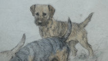 Load image into Gallery viewer, ORIGINAL Coloured Etching of Border Terriers by George Vernon Stokes (1874 - 1954). Pencil SIGNED
