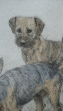 Load image into Gallery viewer, ORIGINAL Coloured Etching of Border Terriers by George Vernon Stokes (1874 - 1954). Pencil SIGNED
