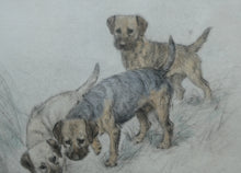 Load image into Gallery viewer, ORIGINAL Coloured Etching of Border Terriers by George Vernon Stokes (1874 - 1954). Pencil SIGNED
