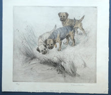 Load image into Gallery viewer, ORIGINAL Coloured Etching of Border Terriers by George Vernon Stokes (1874 - 1954). Pencil SIGNED
