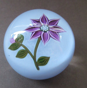 Scottish Paperweight Peter McDougall Pink Flower 2014