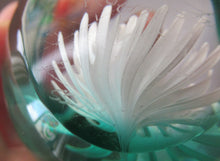 Load image into Gallery viewer, Scottish Paperweight Caithness Glass White Aster 1999
