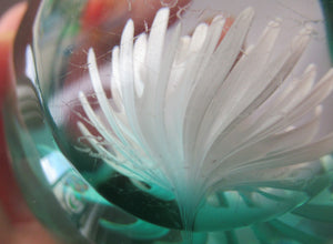 Scottish Paperweight Caithness Glass White Aster 1999