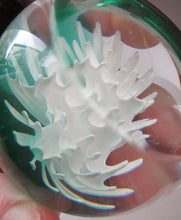 Load image into Gallery viewer, Scottish Paperweight Caithness Glass White Aster 1999
