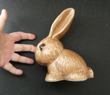 Load image into Gallery viewer, Rare 1930s Cotton Wool Tail Sylvac Rabbit Dark Beige 1026
