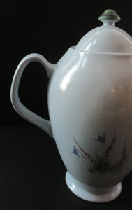 Large 1950s Buchan Portobello Stoneware Pottery Thistle Pattern Teapot