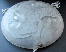 Load image into Gallery viewer, Art Deco Shade. P D&#39;avesn France Signed Glass Plaffonier with Bird Decoration
