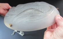 Load image into Gallery viewer, Art Deco Shade. P D&#39;avesn France Signed Glass Plaffonier with Bird Decoration
