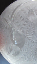 Load image into Gallery viewer, Art Deco Shade. P D&#39;avesn France Signed Glass Plaffonier with Bird Decoration
